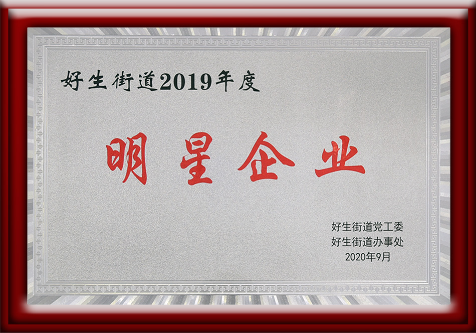 2019明星企业